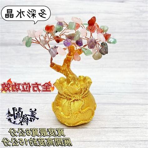 招財樹 照顧
